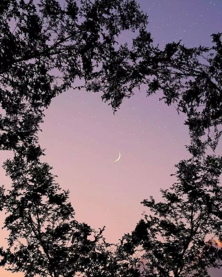 MOON (@moon4pics) on Twitter photo 