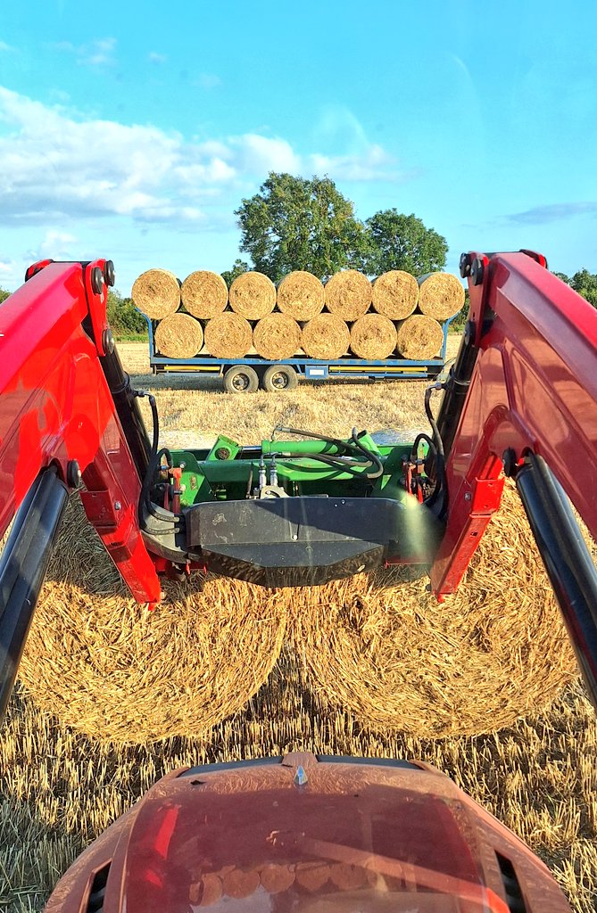 kieran_kigr's tweet photo. Straw coming in π€
#fullathepipe πͺπ» https://t.co/zS4cnPRVmU