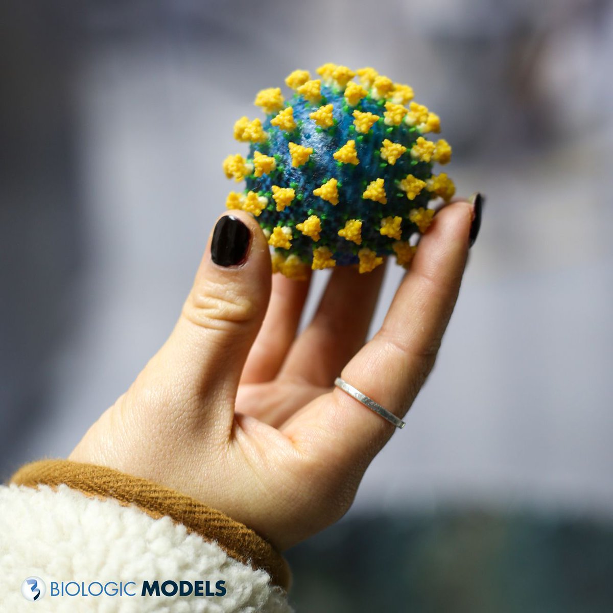 BiologicModels's tweet image. 3D Printed models of proteins created from x-ray crystallography data sets. Hand-held scientific models of proteins bridge the scientific gap between the digital and physical world. #3DPrint your own protein model at buff.ly/d5ZDAWZ