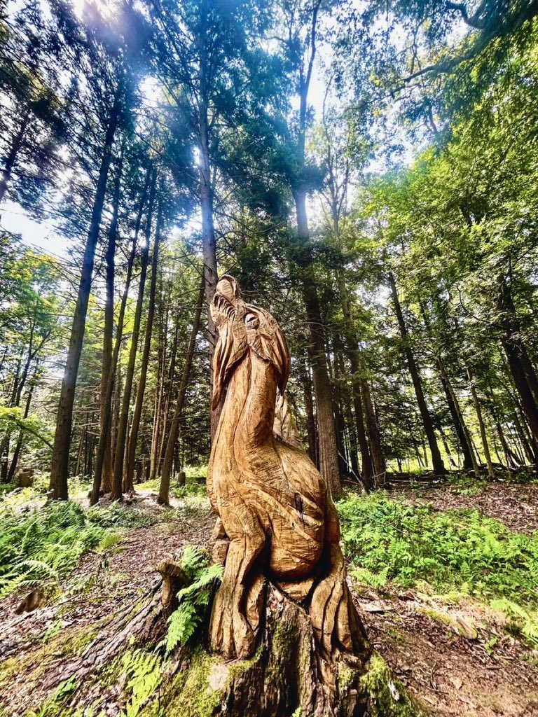 Happy Friday. I was hiking yesterday and came across this out in the middle of the woods. Have a wonderful day everyone. 👋