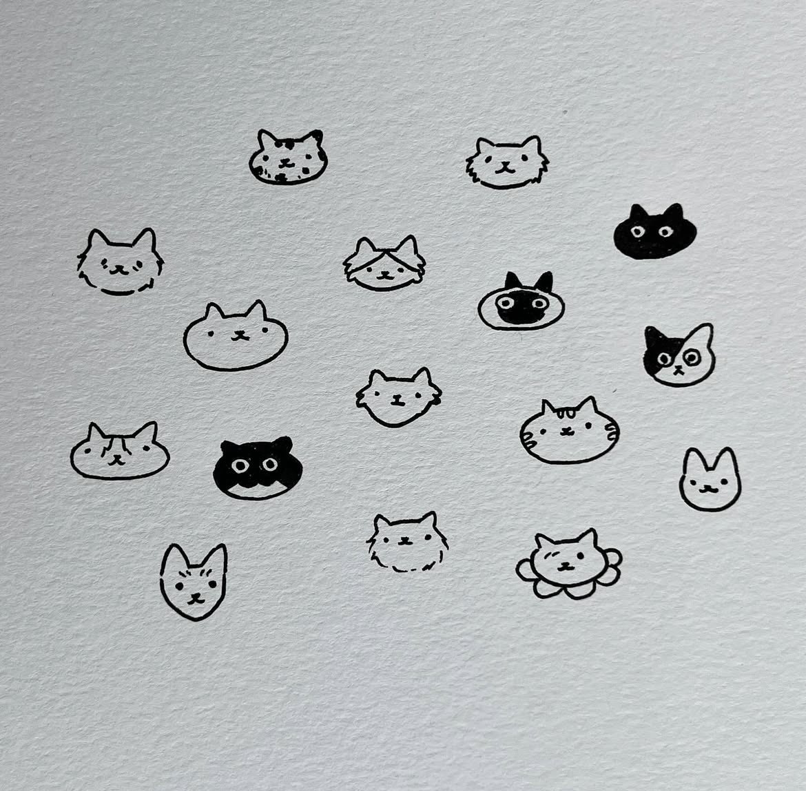 happy international cat day!