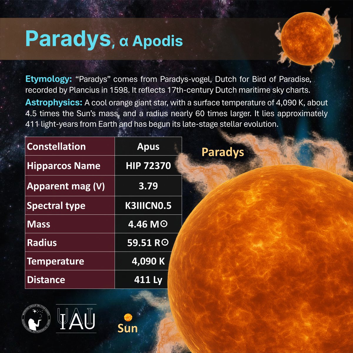 IAU_WGSN's tweet image. 🟠 Paradys (α Apodis) – HIP 72370
“Bird of Paradise” 🌺 Named by Plancius (1598), now IAU-approved (2025)
🔬 K3III orange giant | mag 3.79 | 411 ly
📍 Tail of Apus, decl. –79° — circumpolar in southern skies
#Paradys #IAUStarNames #WGSN #Apus #Plancius