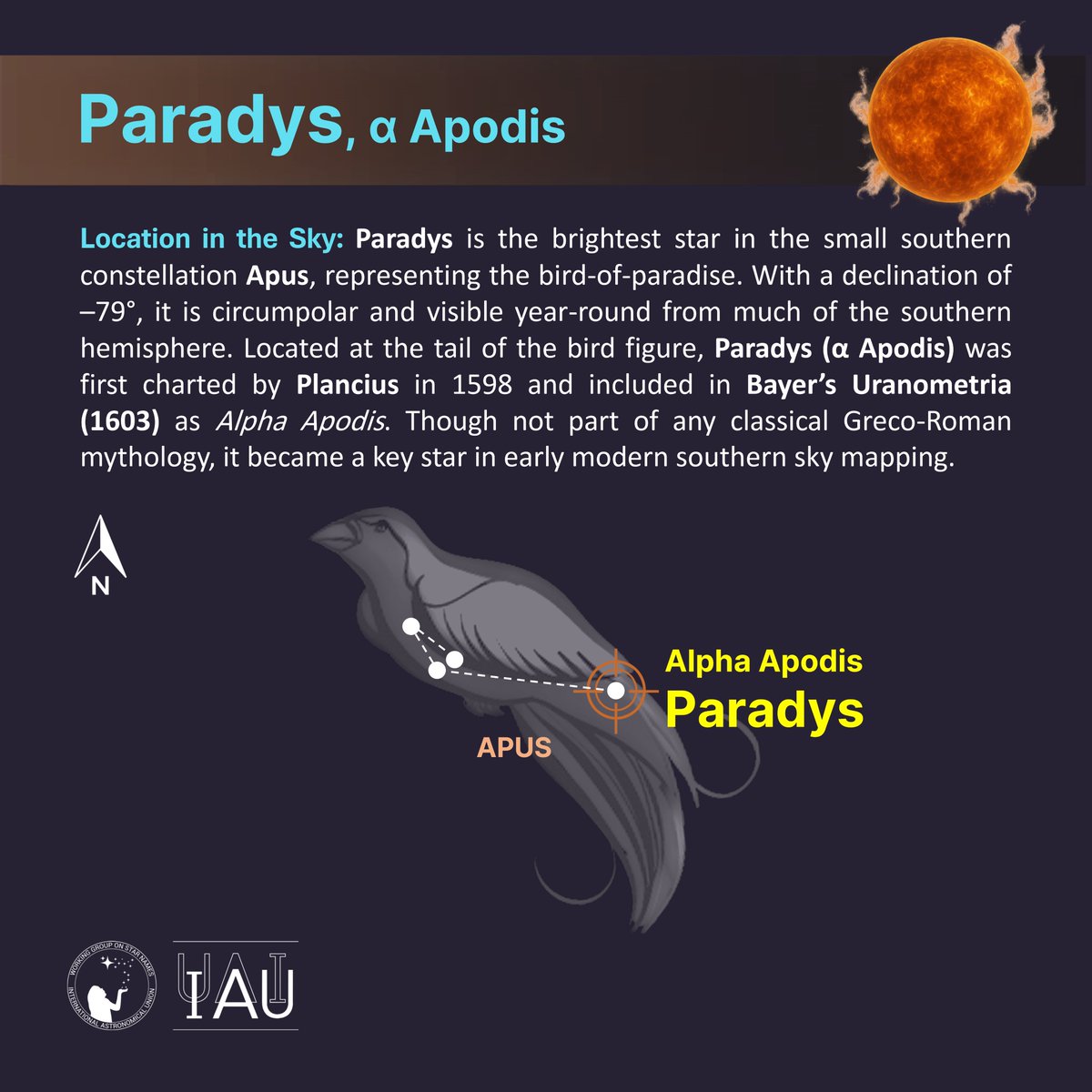 IAU_WGSN's tweet image. 🟠 Paradys (α Apodis) – HIP 72370
“Bird of Paradise” 🌺 Named by Plancius (1598), now IAU-approved (2025)
🔬 K3III orange giant | mag 3.79 | 411 ly
📍 Tail of Apus, decl. –79° — circumpolar in southern skies
#Paradys #IAUStarNames #WGSN #Apus #Plancius