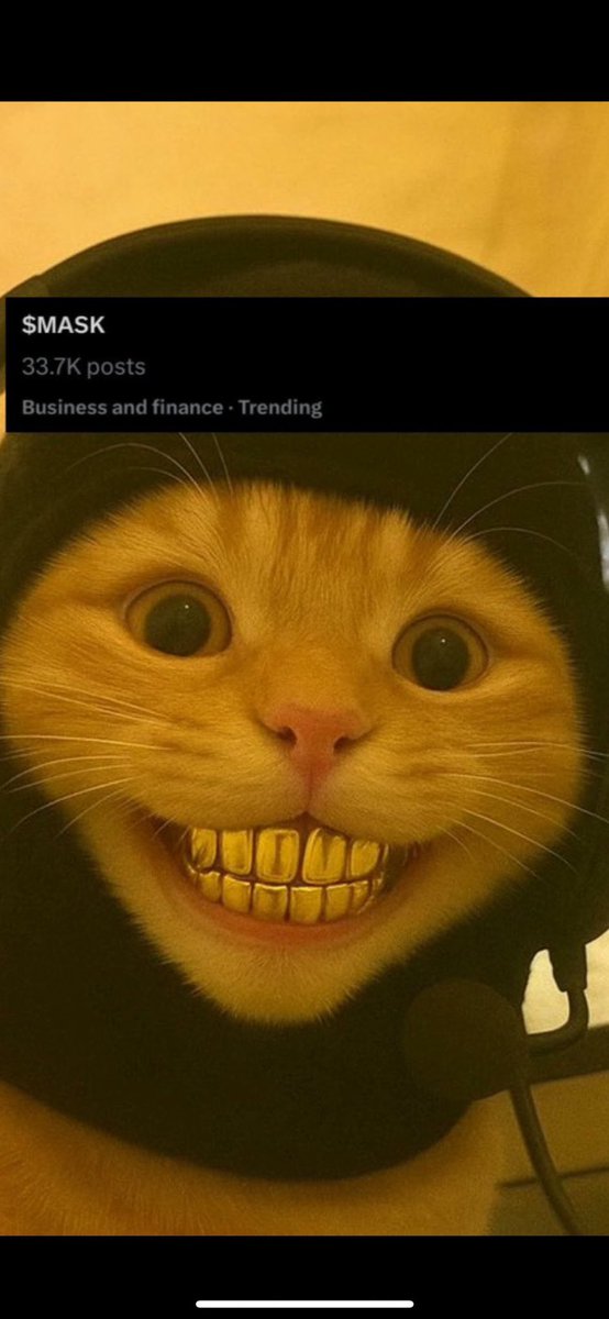 money tweet media