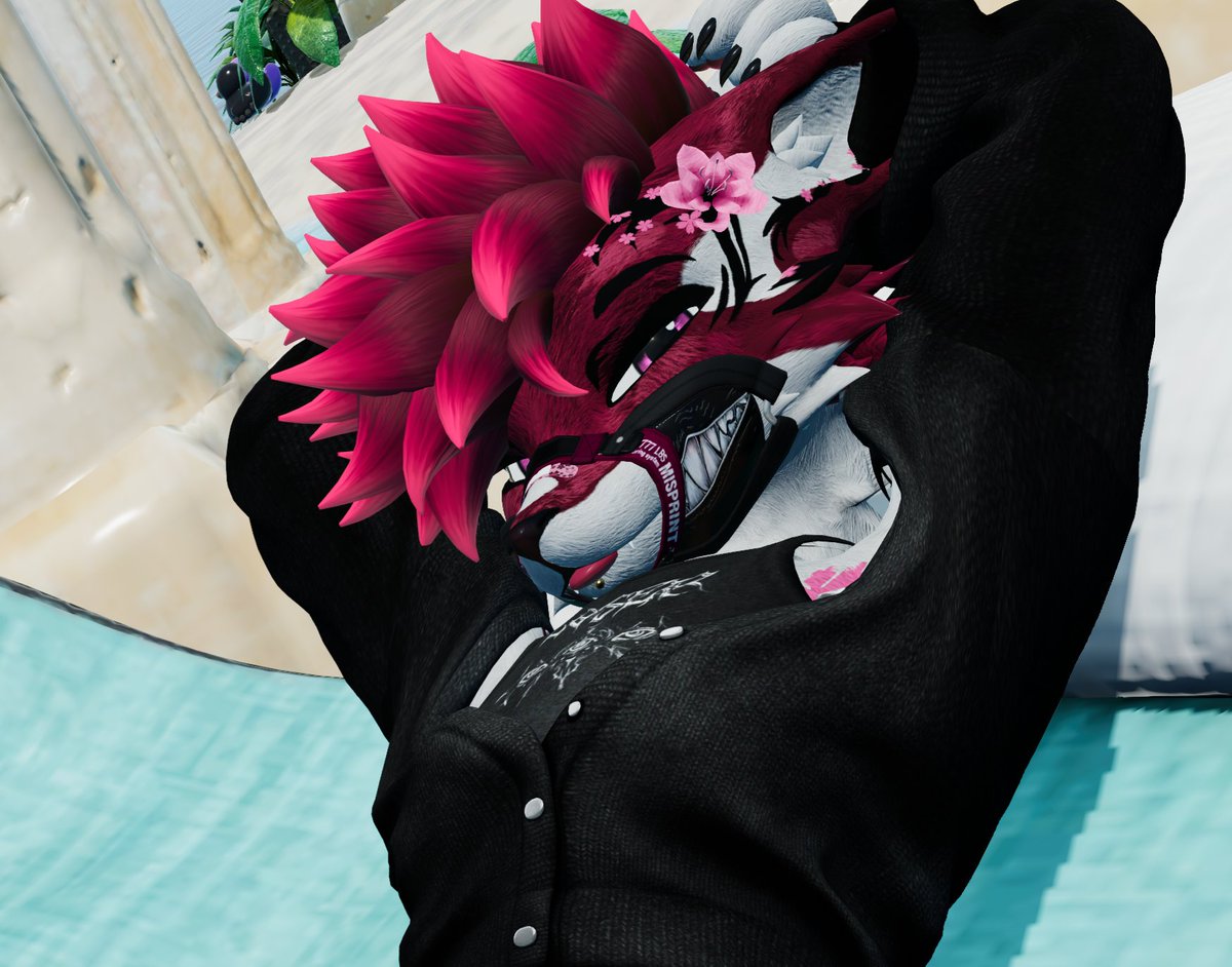 You have my attention now cutie~