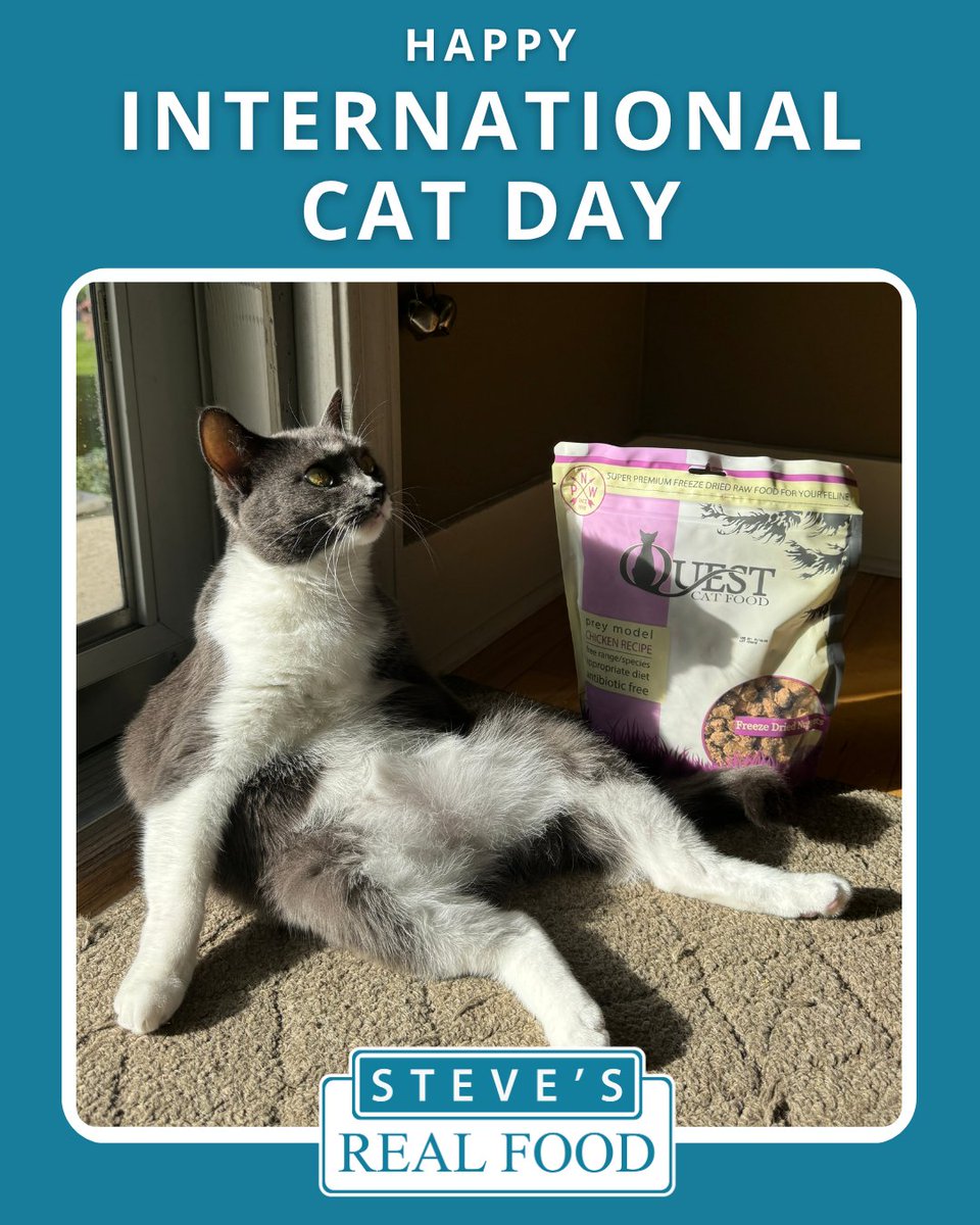 It's #InternationalCatDay

Time to pamper the kitties! Tell us how your cat thrives on Steve’s Real Food and Quest!