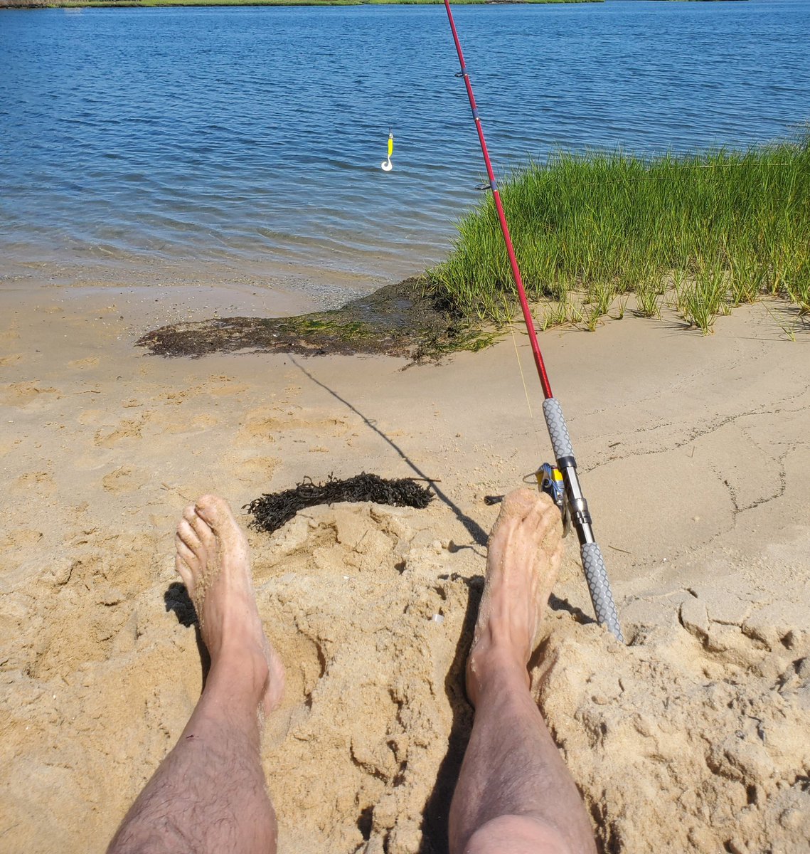 FuriousGeorge tweet media