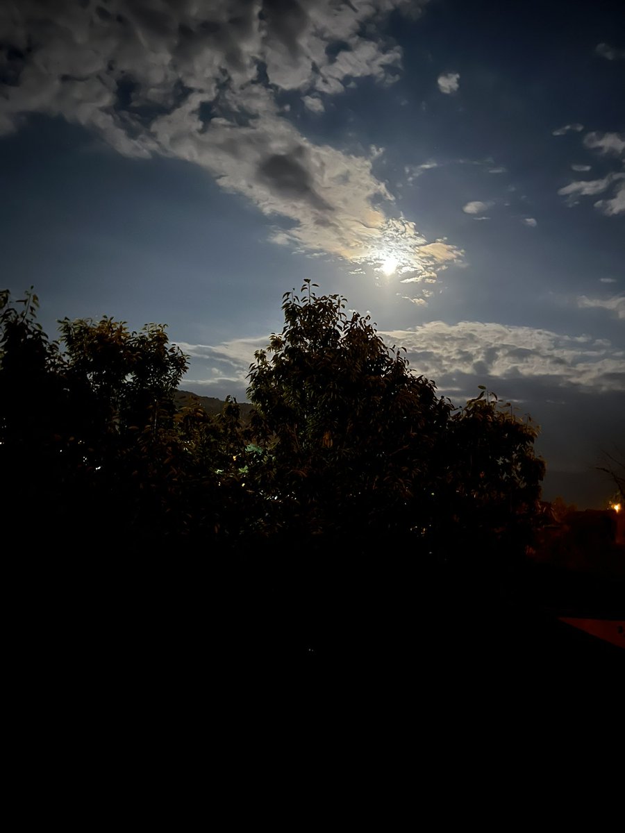 Çarşı çay bahçesinde düğün var. köyde. müzik bizim evin içinde. gece 00 da bitiyor. Şişeler parçasını 27633 kez çalıyorlar. diyeceklerim bu kadar. 

🌕