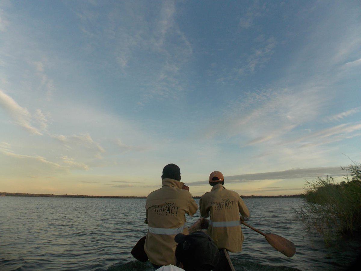 IMPACT Madagascar (@impact_mada) on Twitter photo We’ve completed the #WildlifeRangerChallenge Quiz! 🎉 While we wait for our results, our rangers are still out there—protecting lemurs, chameleons, and rare birds every single day. 💚
📍 Stand with them: wildlife.rangerchallenge.org/campaigns/impa…
#ForWildlifeRangers #ConservationHeroes <a href="/TuskTrust/">TuskTrust</a> We’ve completed the #WildlifeRangerChallenge Quiz! 🎉 While we wait for our results, our rangers are still out there—protecting lemurs, chameleons, and rare birds every single day. 💚
📍 Stand with them: wildlife.rangerchallenge.org/campaigns/impa…
#ForWildlifeRangers #ConservationHeroes <a href="/TuskTrust/">TuskTrust</a>