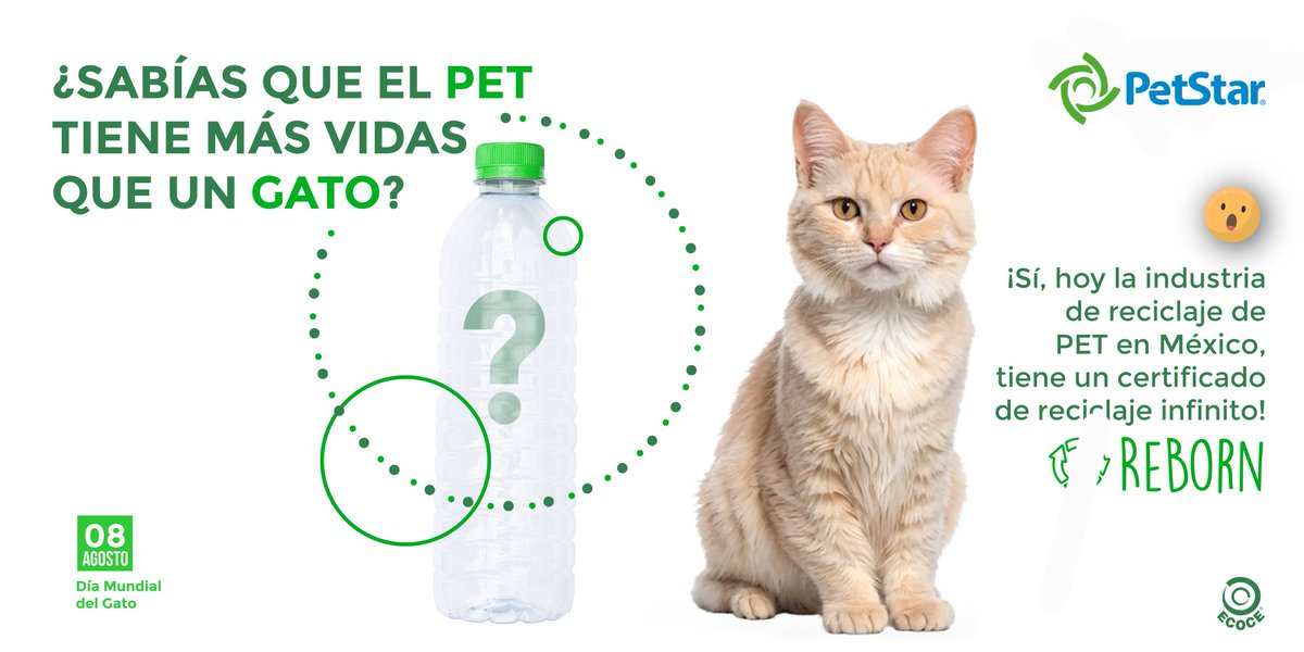 En un gran ejemplo de #EconomíaCircular 🔄, en México tenemos la planta más grande del mundo de #reciclaje de envases PET grado alimenticio ¡que pueden mantener un ciclo infinito ♾️ botella a botella y tú eres parte de ello al llevarlos a reciclar ♻️🙌🏼!
#DíaInternacionalDelGato