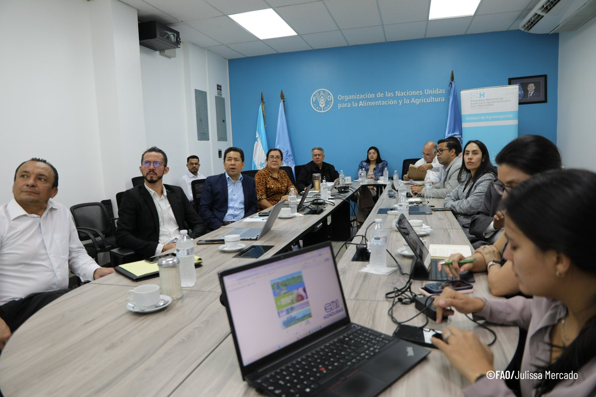 FAOHonduras's tweet photo. Con el aporte técnico de la @FAOHonduras, la @saghonduras a través de #PRONAGRO junto al @CNI_HN, establecieron formalmente la Mesa Técnica Nacional de Promoción de Inversiones para el Sector Agropecuario, con apoyo del sector privado y cooperación internacional.
#ManoDeLaMano https://t.co/MDZ7NjX8F1