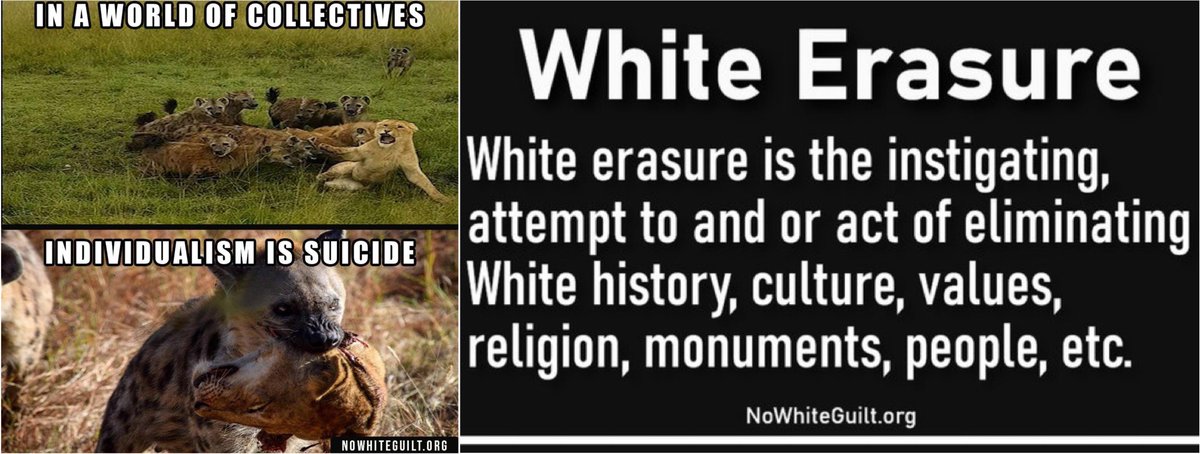 cleanOfWhitenoir tweet media