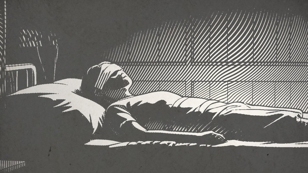 Vlad Vexler tweet media