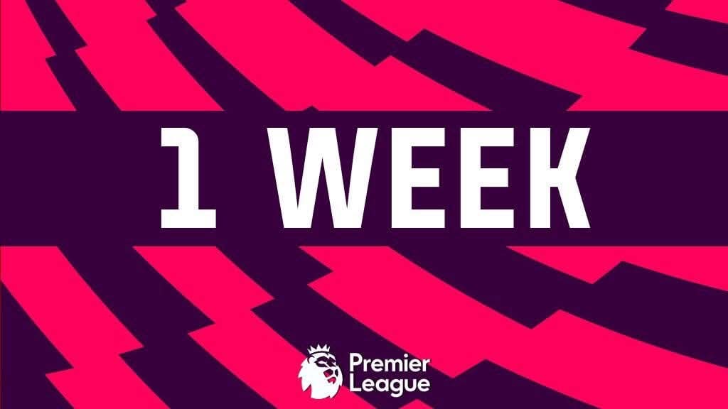 fitzpatrickeamo's tweet image. Friday 15th August🔜⚽️ #premierleaguereturns