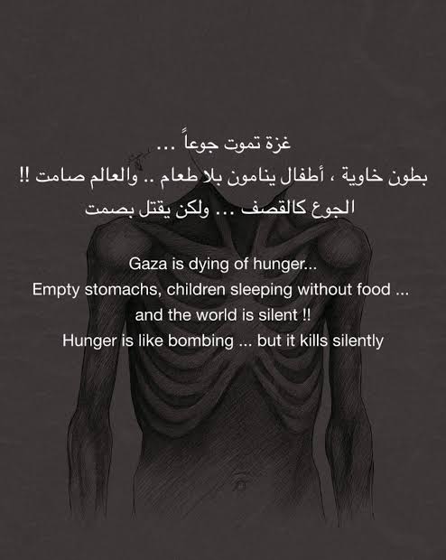 غزة الآن - Gaza Now tweet media