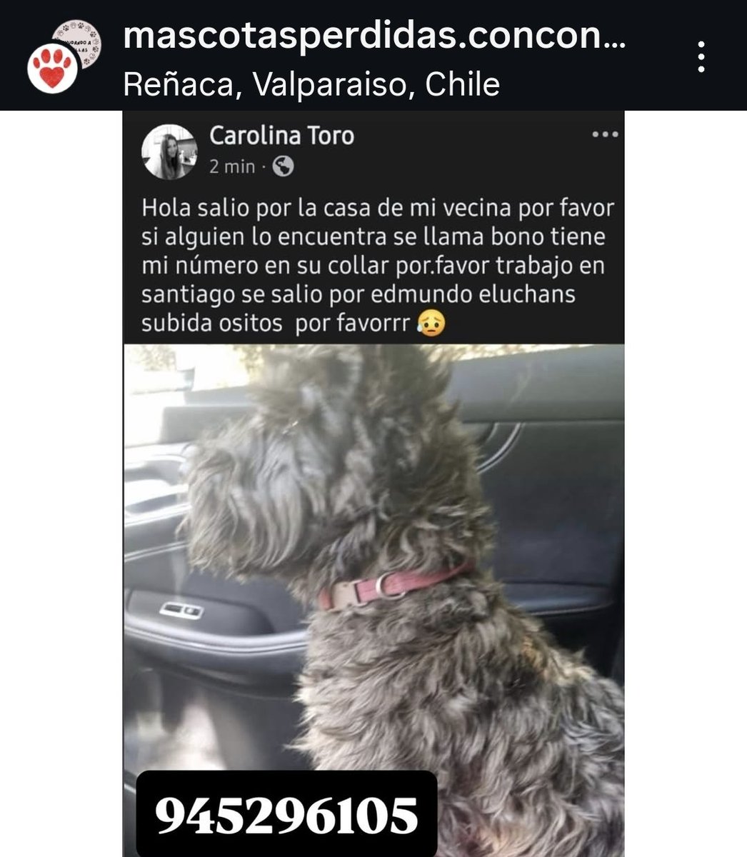 ATENCION REÑACA  CON CON. PERRITO SE ARRANCO POR LA CASA DEL LADO. LO BUSCAN, RETENER POR FAVOR