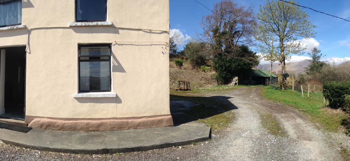 Who is Alice tweet media