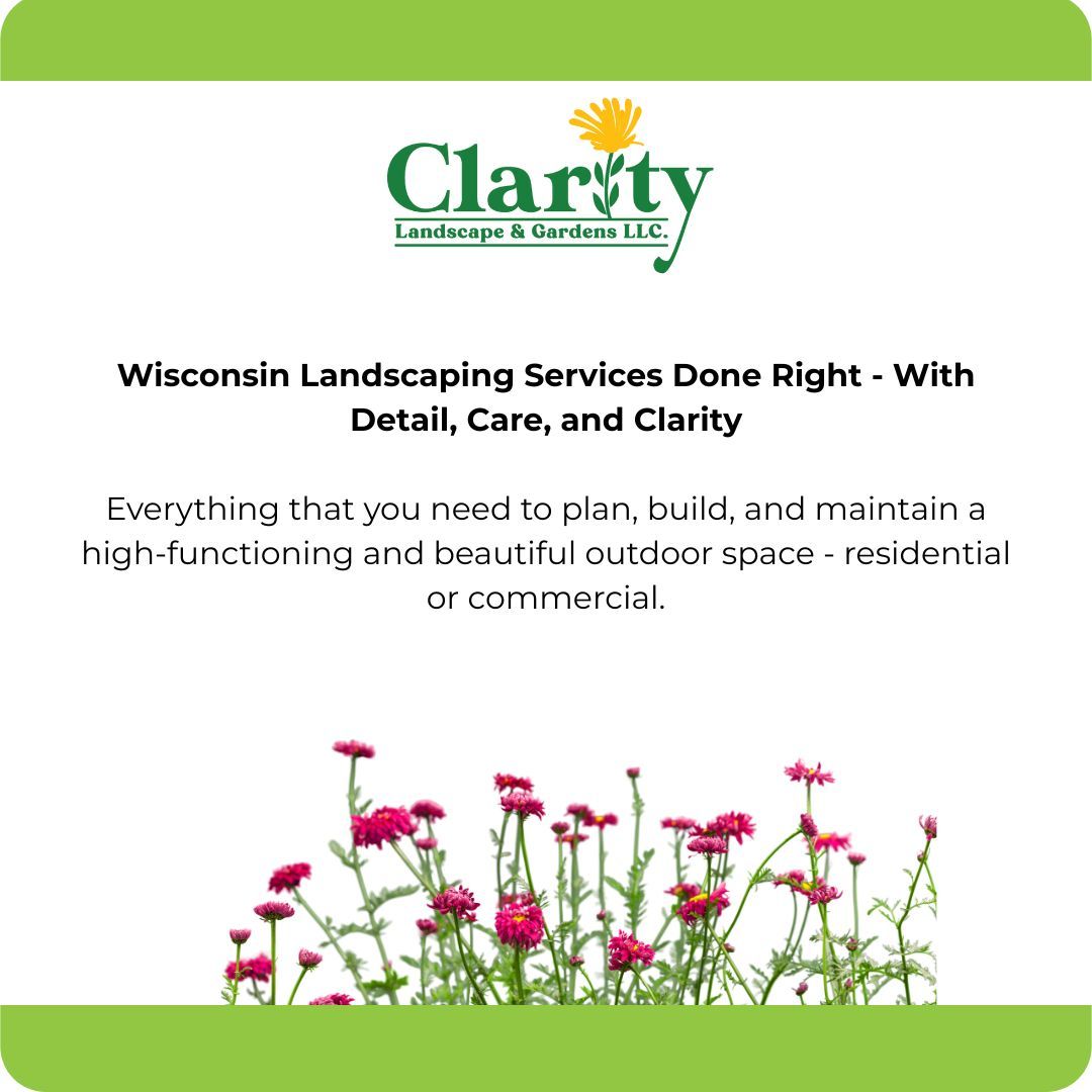 CEOs of Tomorrow tweet media