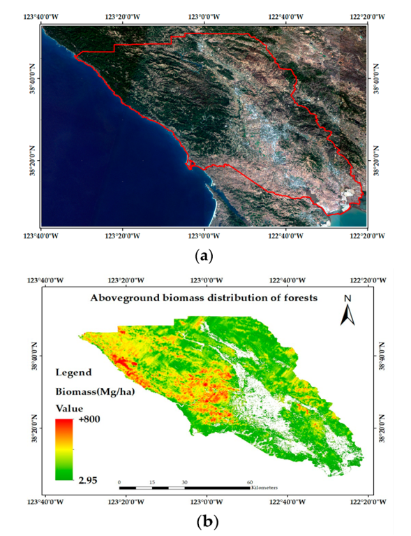 RemoteSens_MDPI's tweet image. 🌿🌍🌿 #CoKriging-Guided #Interpolation for Mapping #Forest Aboveground #Biomass by Integrating Global #Ecosystem Dynamics Investigation and #Sentinel2 Data

✍️ Yingchen Wang et al.
🔗 brnw.ch/21wUMky