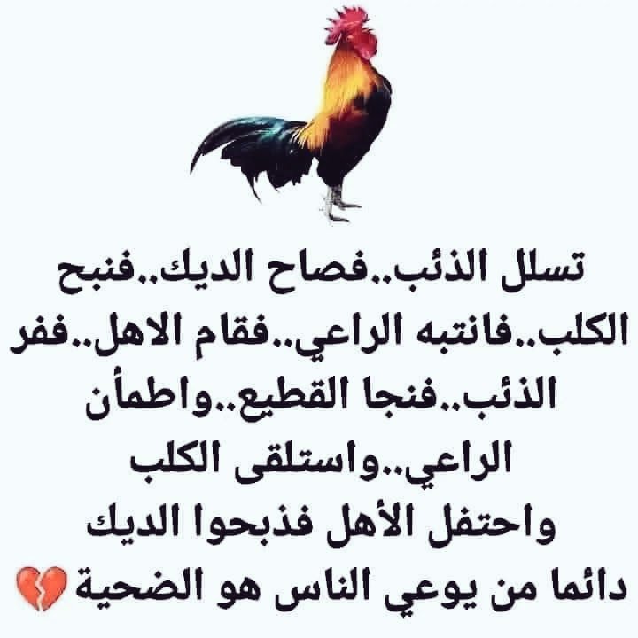 تسلل الذئب .. فصاح الديك.. فنبح الكلب.. فانتبه الراعي.. فقام الاهل.. ففر الذئب.. فنجا القطيع.. واطمأن الراعي.. واستلقى الكلب واحتفل الأهل فذبحوا الديك... دائما من يوعي الناس
       👀 هو الضحية🔥