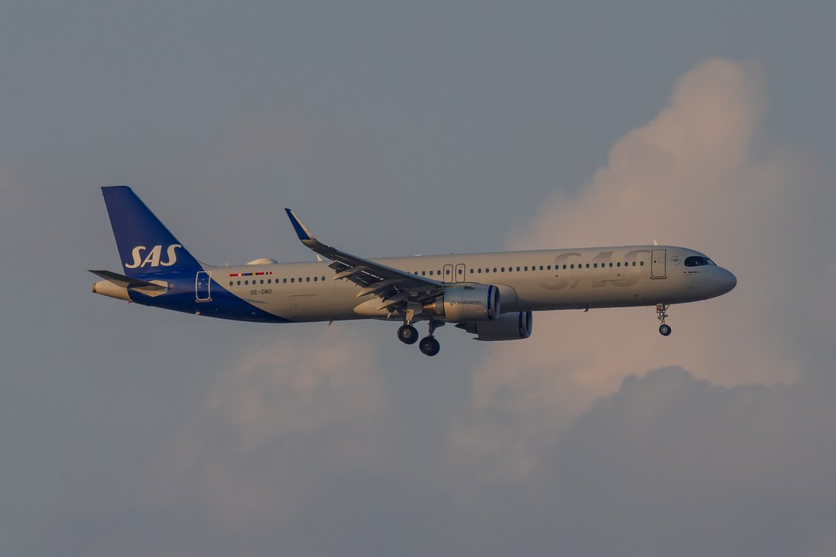 Scandinavian Airlines System Airbus A321-253NXSL(LR) SE-DMO on final approach to runway 13L at John F. Kennedy International Airport (JFK) 🇺🇸 operating flight SAS916 from Copenhagen (CPH) 🇩🇰 on 13 October 2024 <a href="/flysas/">flysas</a>
