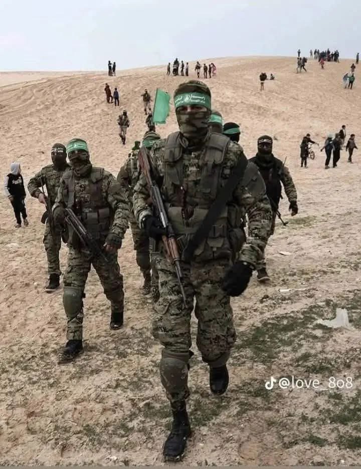 اسود امتنا في انتظار هؤلاء الخنازير