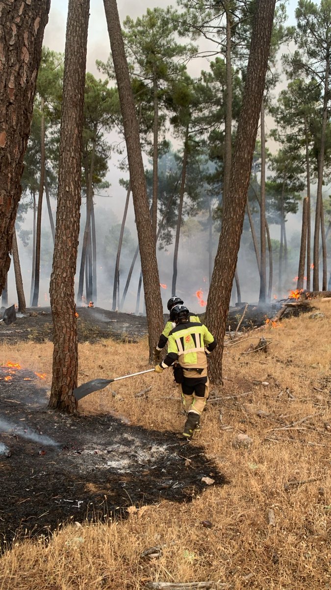 Efectivos de #BomberosAv y forestales de <a href="/112cmadrid/">112 Comunidad de Madrid</a> se encuentran en el flanco sur del #IFSanBartoloméDePinares, declarado IGR-2 y dentro del operativo coordinado por <a href="/jcyl/">Junta de Castilla y León</a>  

Afecta a los términos de #SanBartoloméDePinares, #LasNavasDelMarqués y #Valdemaqueda (Madrid)