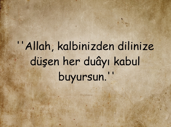 çilekapısı (@cilekapisi) on Twitter photo 