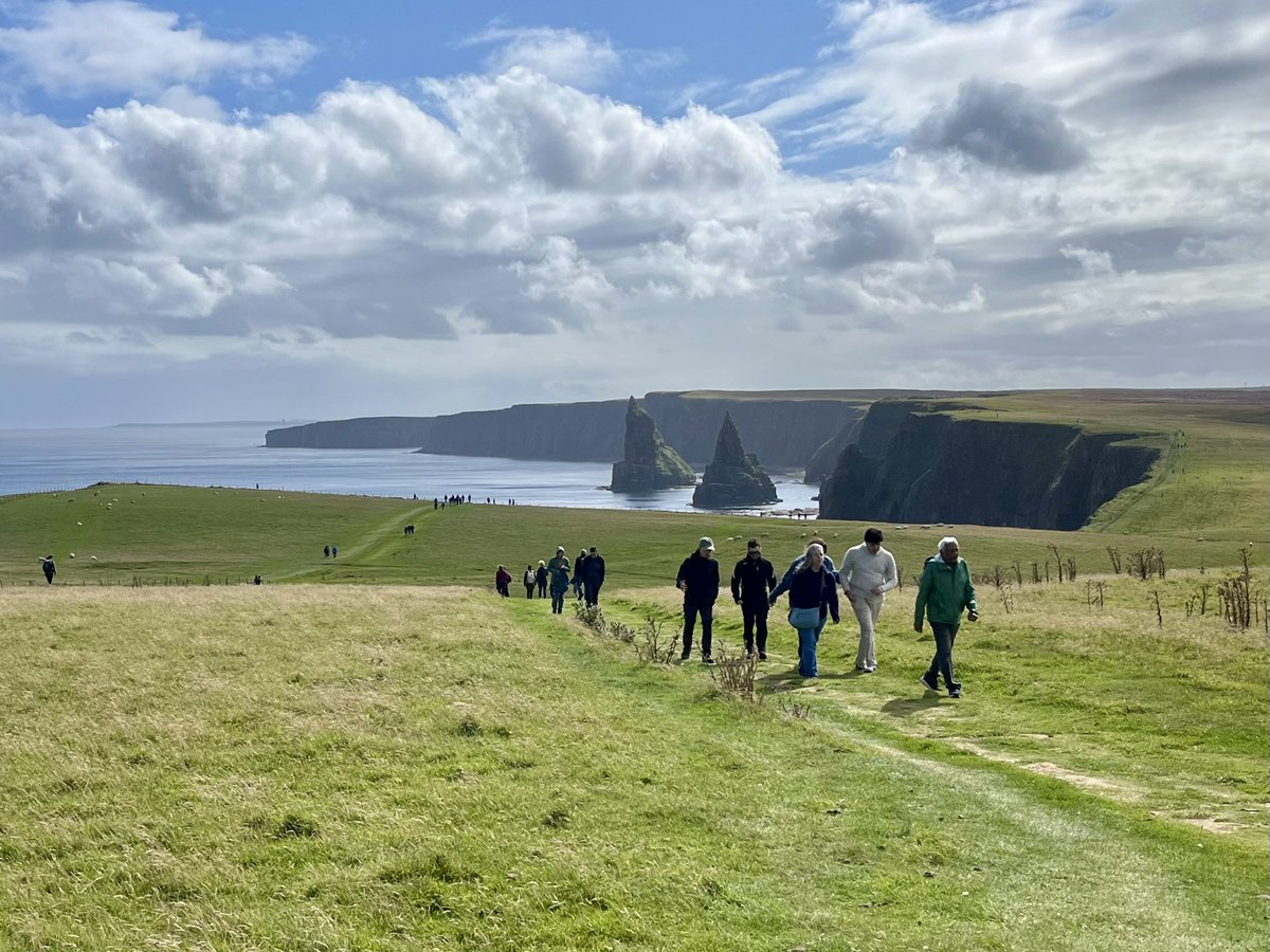 Magnus Davidson tweet media