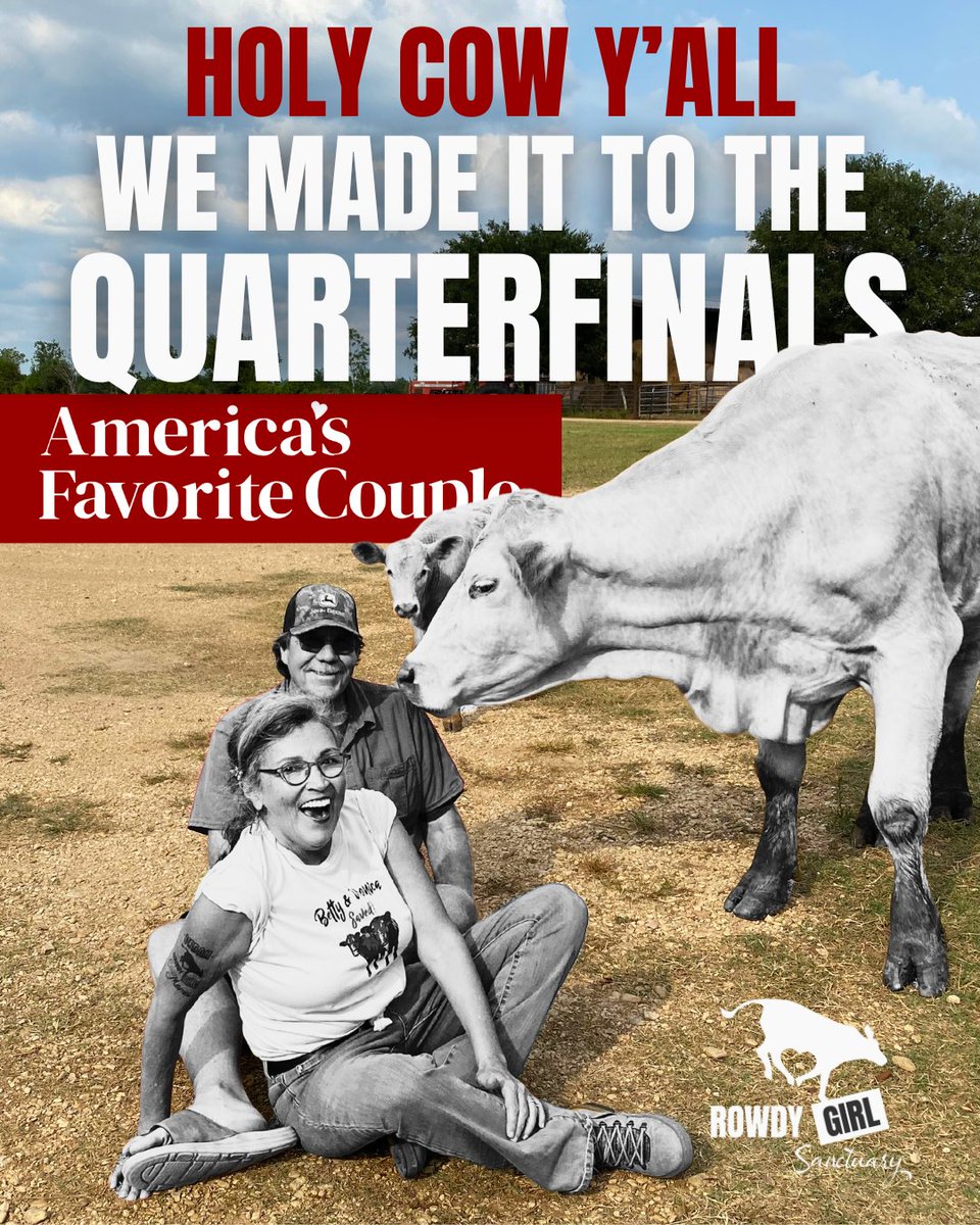 🏆🤠 Y’ALL!!! We just made it into the QUARTERFINALS of America’s Favorite Couple, and we placed FIRST in our group out of 74 contestants!!! Quarterfinals begin Monday, August 11th at 12 p.m. CT. In the meantime, rally your friends, your family, your neighbors, and anyone else!
