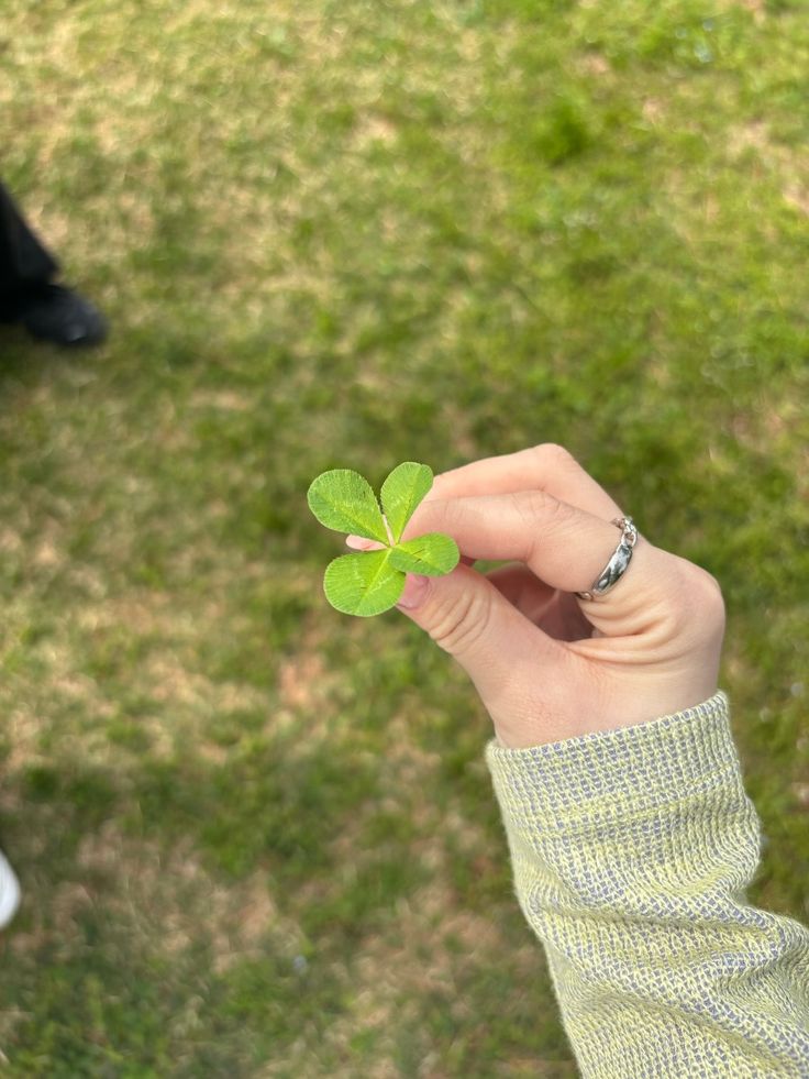 lcninblue's tweet photo. Is it green enough? https://t.co/AIpwyafI0S