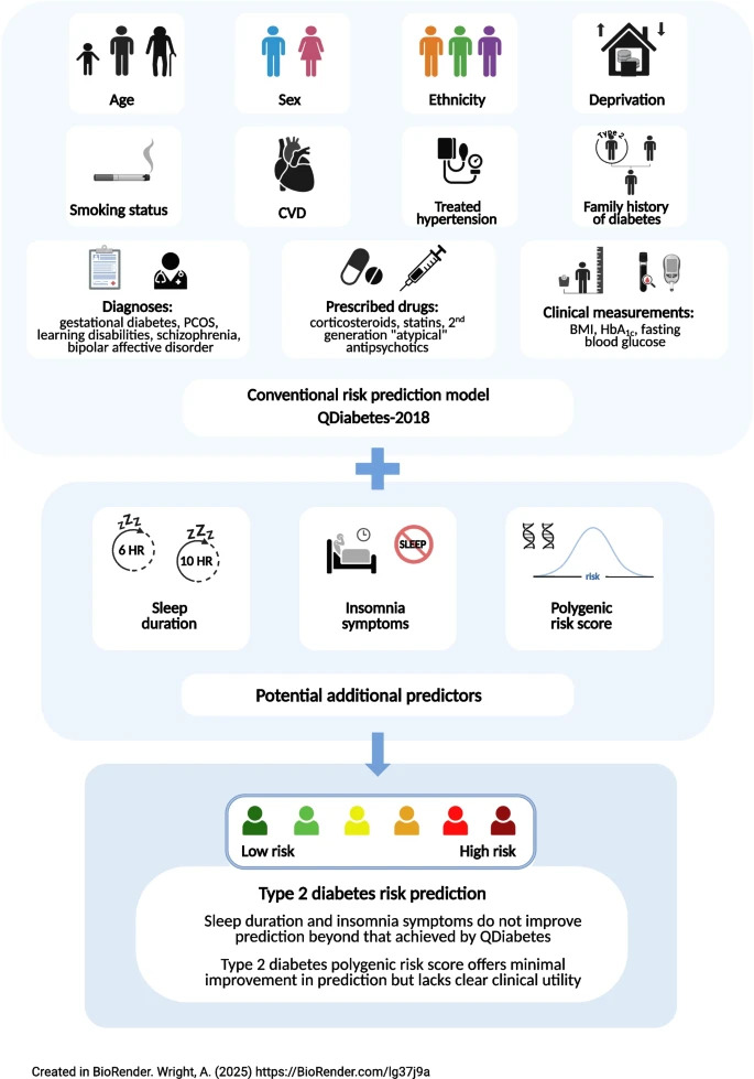 DiabetologiaJnl's tweet image. Sleep duration &amp;amp; insomnia associated with ↑ #T2D risk but addition of these sleep traits to #QDiabetes risk prediction model offers no clinically meaningful predictive gain.  #riskprediction #DiabetesResearch link.springer.com/article/10.100… 🔓