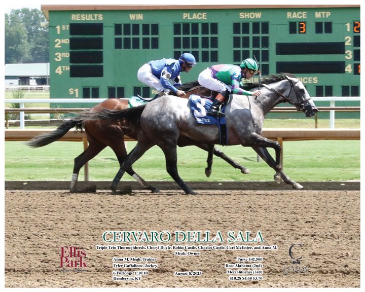 Anna Meah Racing tweet media