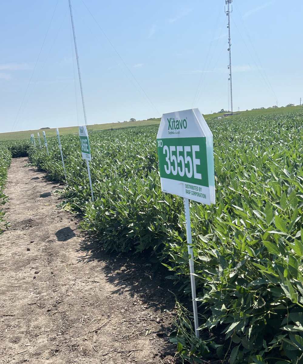 Dylan Davidson tweet media