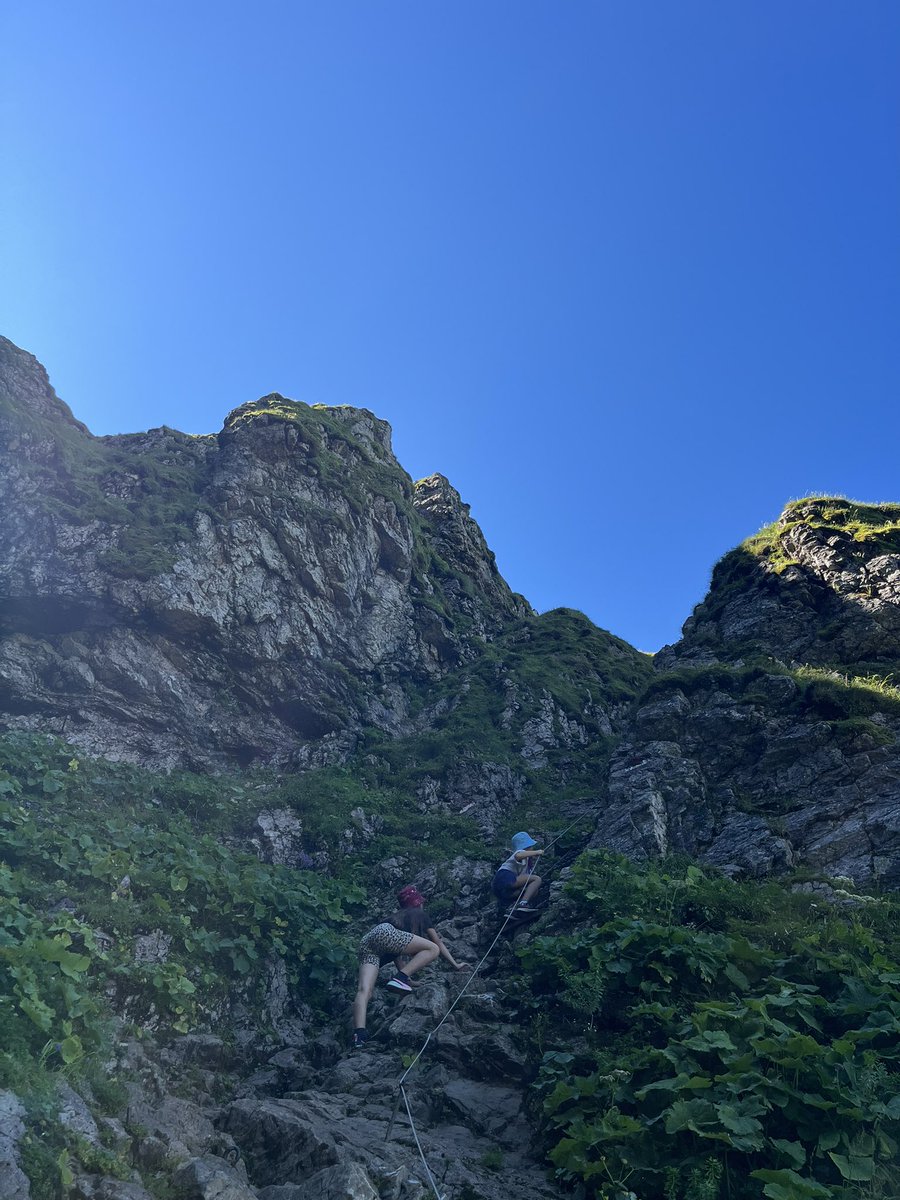 Māra Arāja tweet media