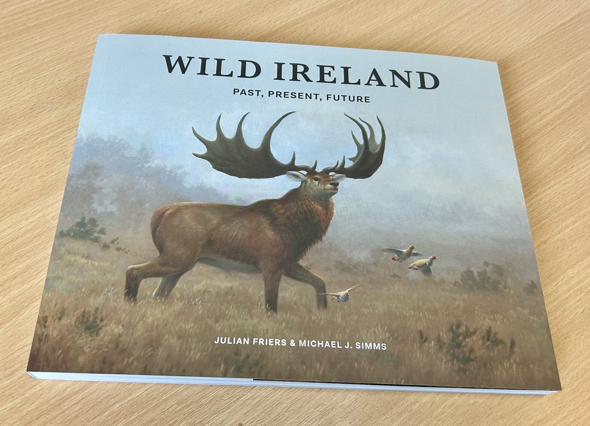 Kim Mawhinney tweet media