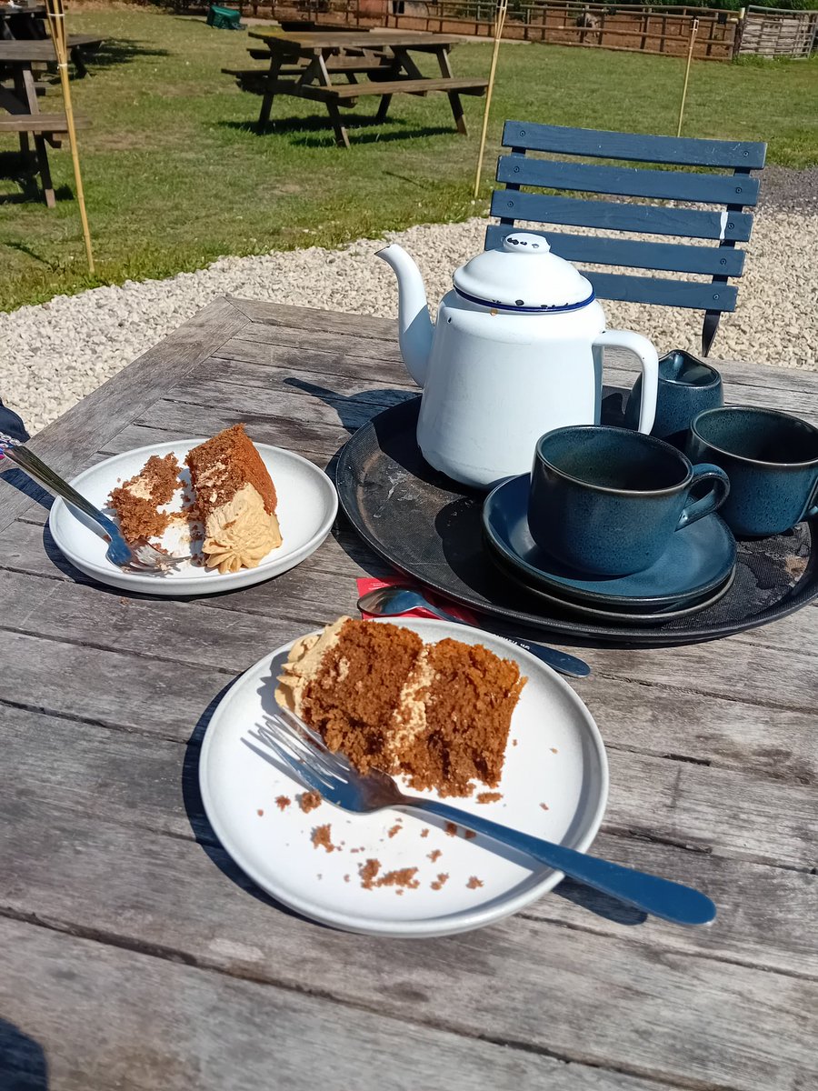 I need more afternoons like this