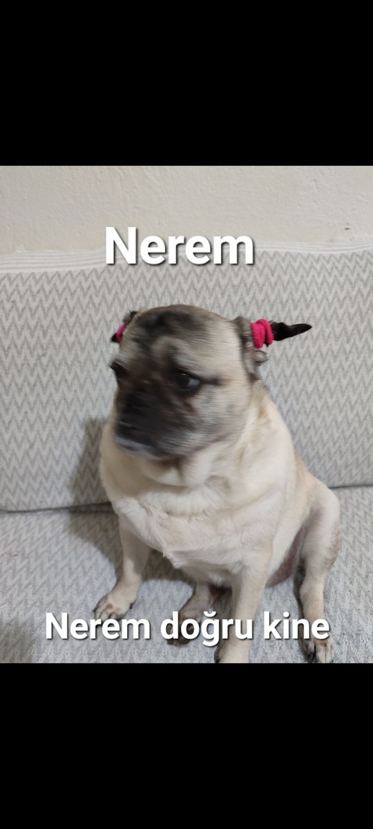 Rozê (@rozeerin) on Twitter photo 