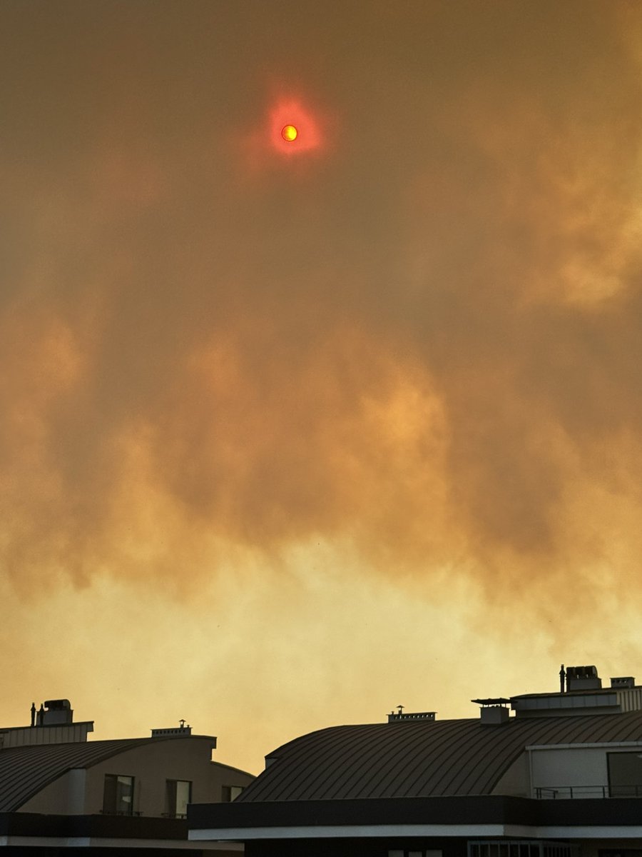 Bütün gün yangın bölgesini gözlemledim.

Yangına müdahale ağırlıklı olarak küçük uçak ve helikopterlerle yapıldı. Maalesef hiç etkili olmadılar.

Öğleden sonra büyük bir uçak geldi. Ama epey geç kalınmış ve şiddetli rüzgarla yangın çoktan yayılmıştı.

Maalesef yangınla