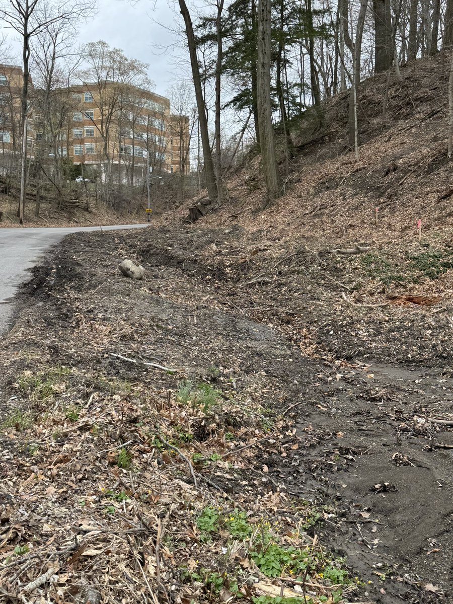 TreeCleveland tweet media