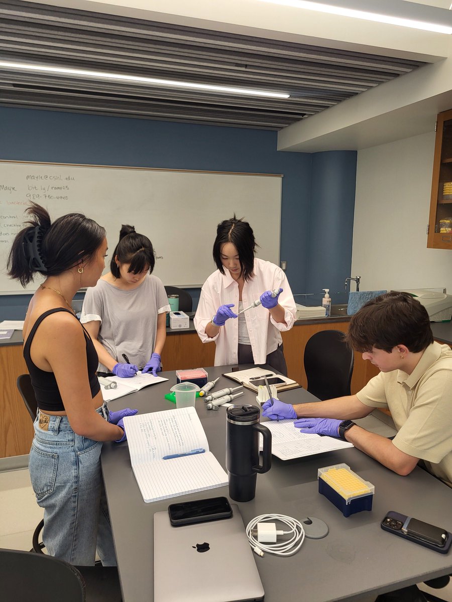 NY Research and Mentoring for Postbaccalaureates tweet media