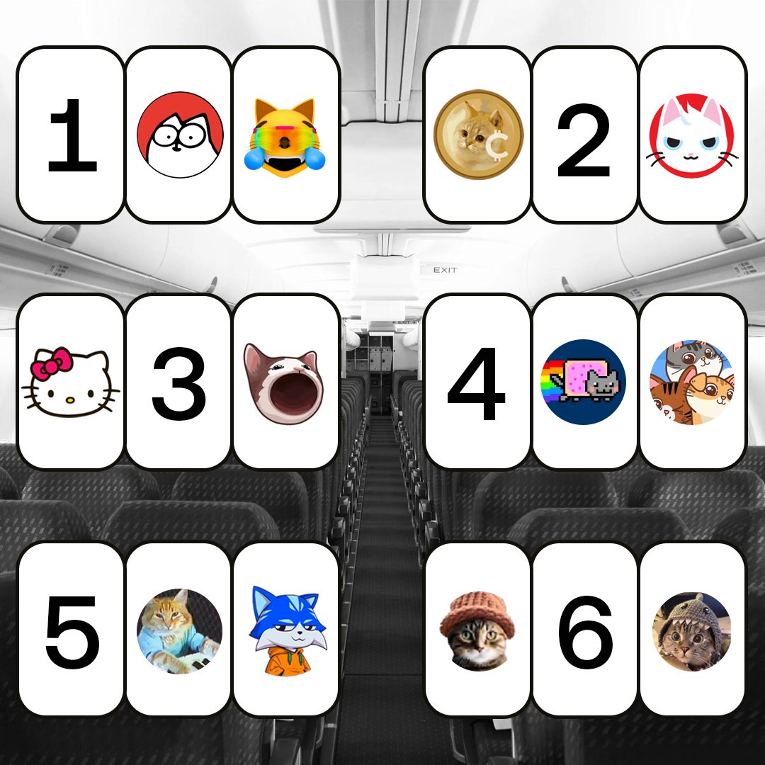 It's International Cat Day and you're on a 15-hour flight. What seat are you choosing, meow?