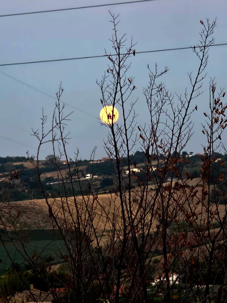 Lar🌐Ssa👠 (@lara_larossa) on Twitter photo 