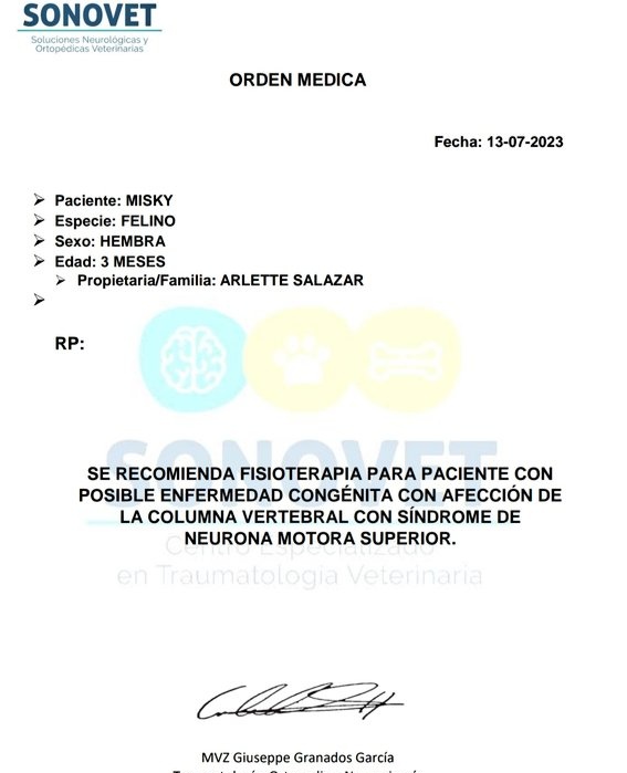_arlettesalazar's tweet photo. DIA INTERNACIONAL DEL GATO😿💗
Te gustaría ayudar a #Misky? Ella es una gatita con discapacidad congénita, solo debe tener calidad de vida, fue rescatada en rivera del Río arrastrándose con 3 meses. Usa pañales, ecaderm, pañitos húmedos
🙏🏼Yape/plin 934962128 Jaquelyn Salazar #RT https://t.co/WTRiV2PnGX