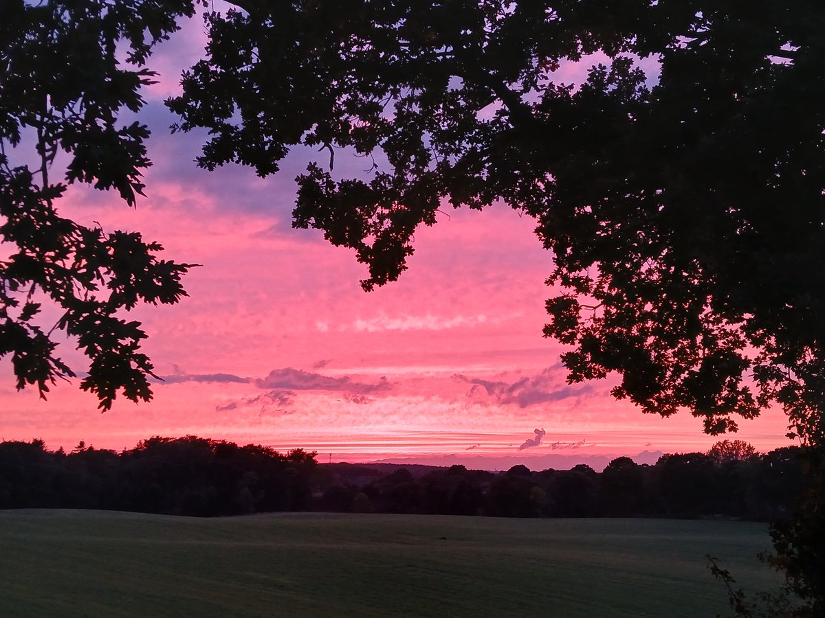 Daesy55676957's tweet image. ✋🌞