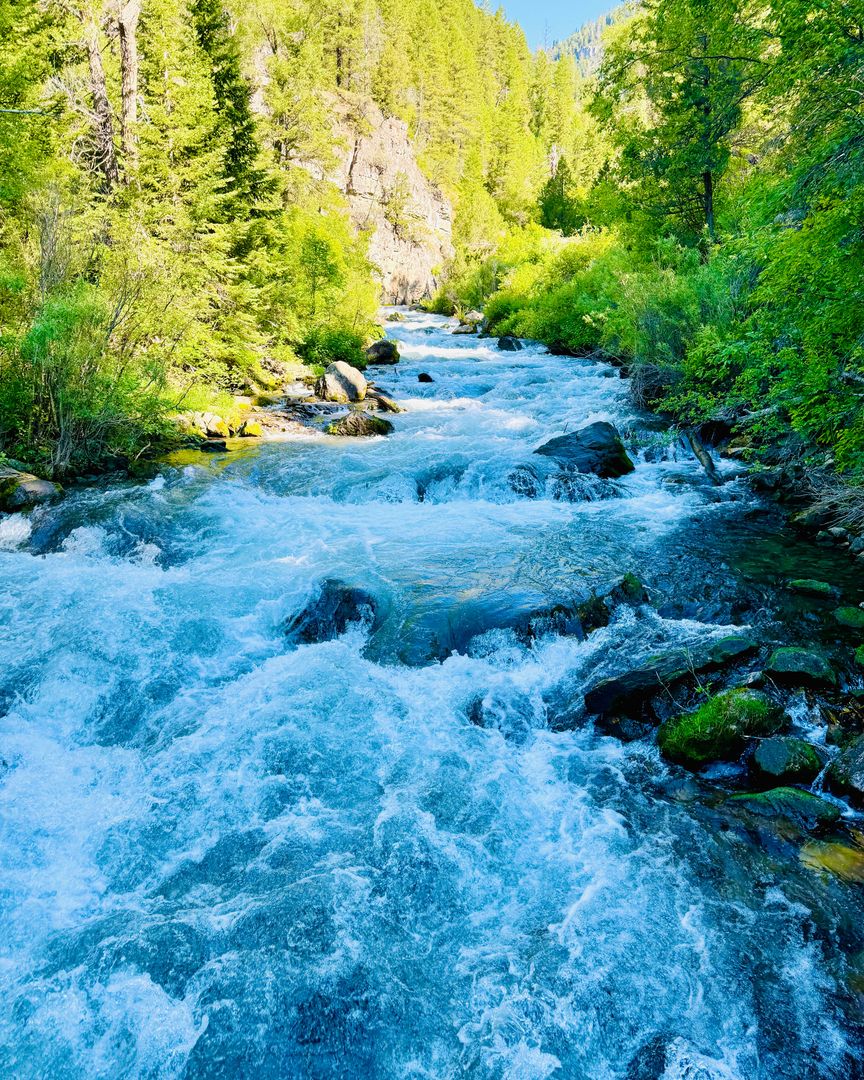 TetonAIM's tweet image. Dr. Mel DEFINITELY stopped to have brunch with the locals about 8 miles into her morning 16-mile run. Swipe to the last picture to find out exactly who those locals are. 🤩 🏃‍♀️

#tetons #moose #starvalley #jacksonhold #wyoming #acupuncture #IntegrativeMedicine #trailrunning
