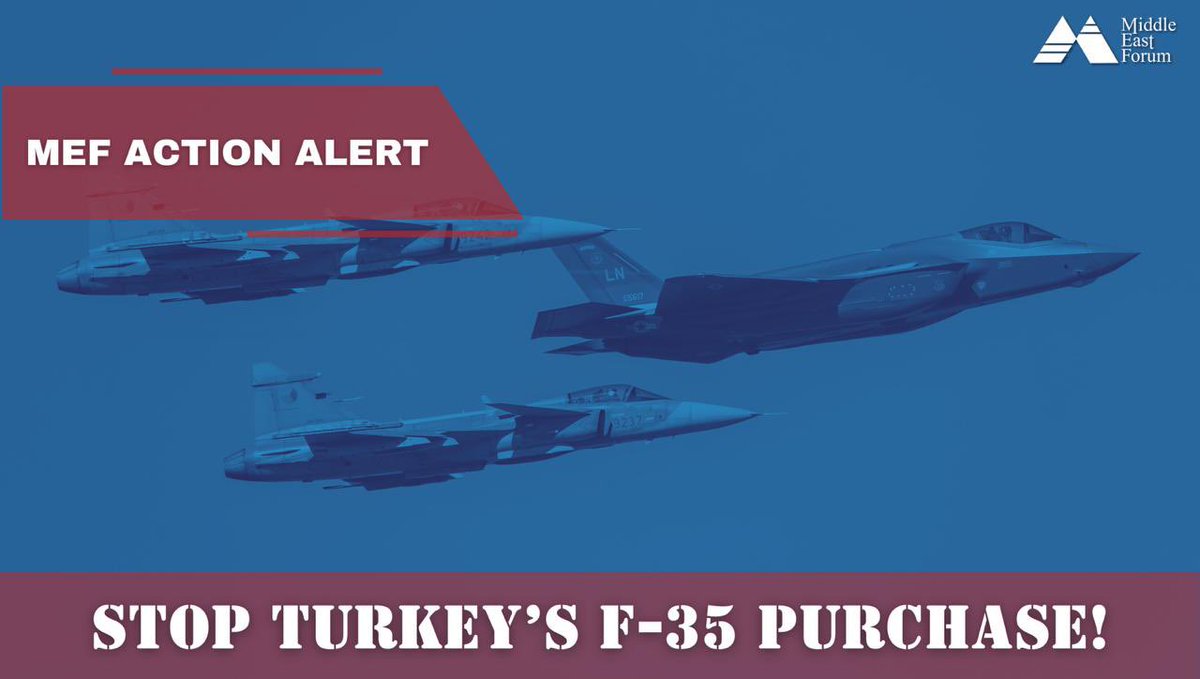 MEF Action tweet media