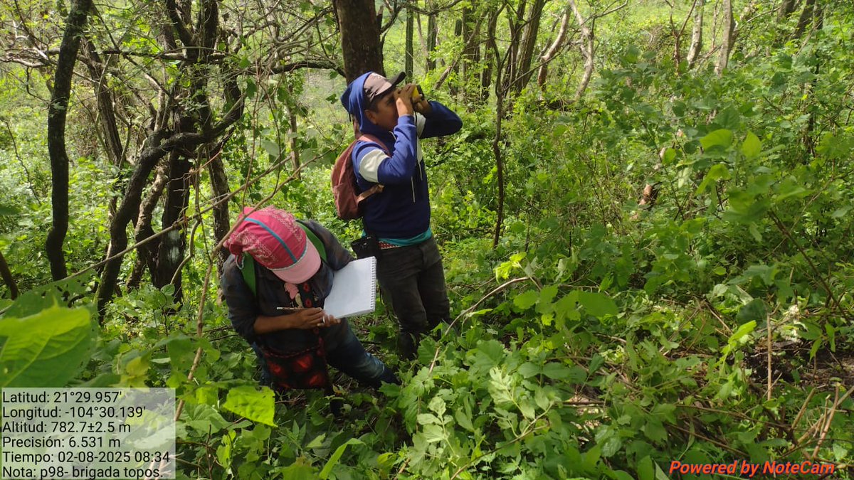 JoseOsio1168463's tweet image. The brigades traveled through remote areas to achieve the forest measurements to certify the Dimitra Carbon Forest Conservation Project in Nayarit, Mexico. #DimitraTech #$DMTR #DMTRTeam #Sostenibilidad #DimitraCarbon #CréditosDeCarbono #CambioClimático #conanp #biosferadealica