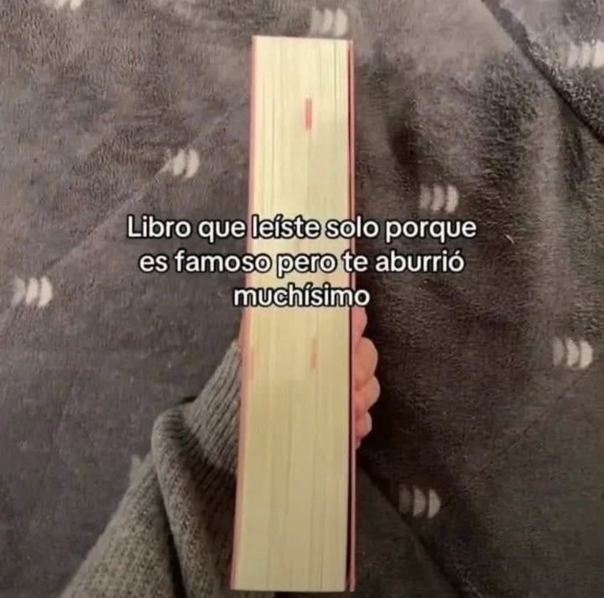 Rafael Poulain tweet media