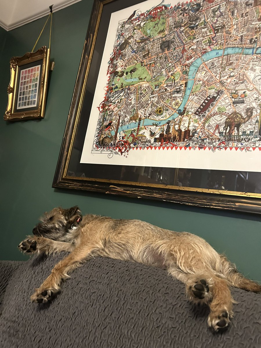 Seb Maley tweet media